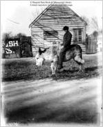 [Photograph of a boy on the back of a donkey in front of a house in or near Richmond County, Georgia, late 19th century]