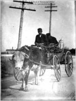 [Photograph of two African American men on an oxcart in or near Richmond County, Georgia, late 19th century]