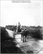 [Photograph of an African American man driving an oxcart in or near Richmond County, Georgia, late 19th century]