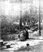 [Photograph of two African American women washing clothes in or near Richmond County, Georgia, late 19th century]