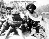 [Photograph of three African American children eating watermelon in or near Richmond County, Georgia, late 19th century]