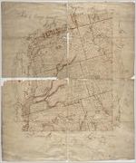 "Map of Twiggs County," circa 1866