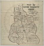 "Map of Cook County, Georgia."