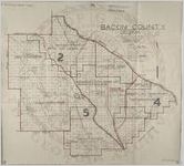 "Map of Bacon County, Georgia."
