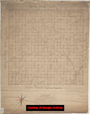 Appling County, District 7