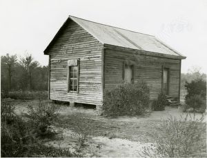 Red Level, Peach County