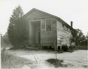 Live Oak, Peach County