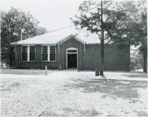 Alexander Stephens Inst. High (White), Taliaferro County
