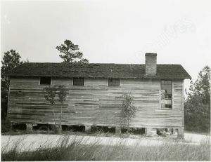 Live Oak, Peach County