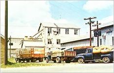Cotton Ginning Time, Sylvester, Georgia