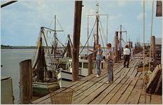 Part of Shrimp and Crab Fleet, Brunswick, Georgia