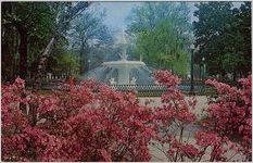 Forsyth Park Fountain - Savannah, Ga.
