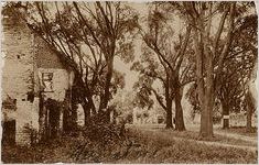 Hermitage, Savannah