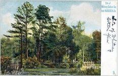 Site of Whitney Cotton Gin, near Augusta, Ga.