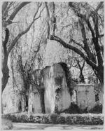 Major Horton house ruins, Jekyll Island, Georgia