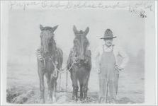 Morgan, Thomas Hurry, Jr., with his mules Dolly and John on his farm in the Hamburg district of Macon County