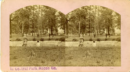 Central City Park, pond, circa 1877