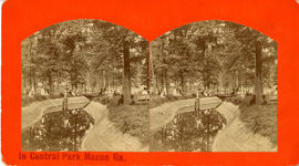 Central City Park, circa 1877