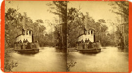 Ocmulgee River, from Rose Hill Lovers Leap, circa 1877