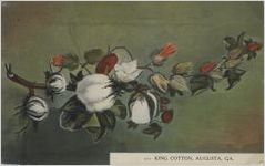 King cotton, Augusta, Ga.