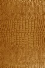 Yamacraw, 1973