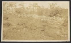 Lupton Hall future site, ca. 1919