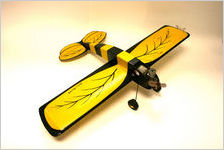 Yellow Jacket model airplane