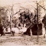 Wormsloe (Fort Wymberly), Isle of Hope, Chatham County