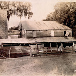 Wormsloe (Fort Wymberly), Isle of Hope, Chatham County