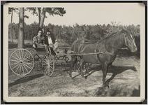 Photograph of Havis and Audrey James in costume in a horse-drawn buggy during the Worth County Centennial Celebration in Sylvester, Worth County, Georgia, 1953 October