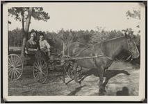 Photograph of Clayton and Florie Davis in costume in a horse-drawn buggy during the Worth County Centennial Celebration in Sylvester, Worth County, Georgia, 1953 October