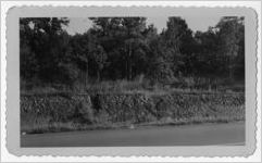 Photograph of an eroded bank, Manchester, Georgia, 1953