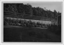 Photograph of a private yard and garden, Manchester, Georgia, 1953