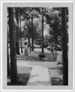 Photograph of people doing yardwork, Manchester, Georgia, 1953