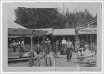 Photograph of the fair, Manchester, Georgia, 1953