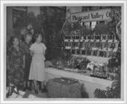 Photograph of a display of jarred and preserved foods, Manchester, Georgia, 1953