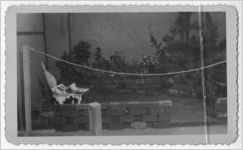 Photograph of the Iris garden club exhibit, Manchester, Georgia, 1953