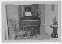 Photograph of the Camellia garden club exhibit, Manchester, Georgia, 1953