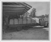Photograph of men loading fertilizer onto a truck, Manchester, Georgia, 1953