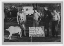 Photograph of members of a Jaycees group with a goat, Manchester, Georgia, 1953