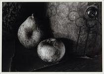 Fall still life: Jackson County