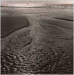Ossabaw Island, 1974