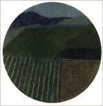 Fields of Lanzarote