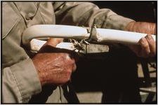 Woodwork: Clyde Paul. Clyde Paul carving walking stick.