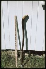 Woodwork: Clyde Paul. Walking stick and ruler