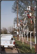 Whirligigs: John Byrd. View of whirligigs lining the front of John Byrd's home