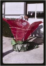 Gerald and Madonna Woolford- Carnival costumes, Caribbean