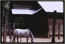 Living at Home Exhibition