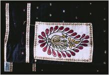 Sunita K. Karvir