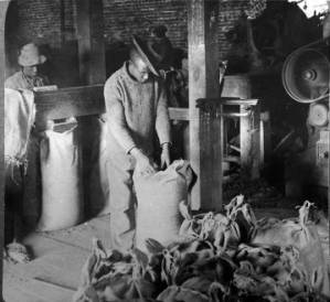 Laborers